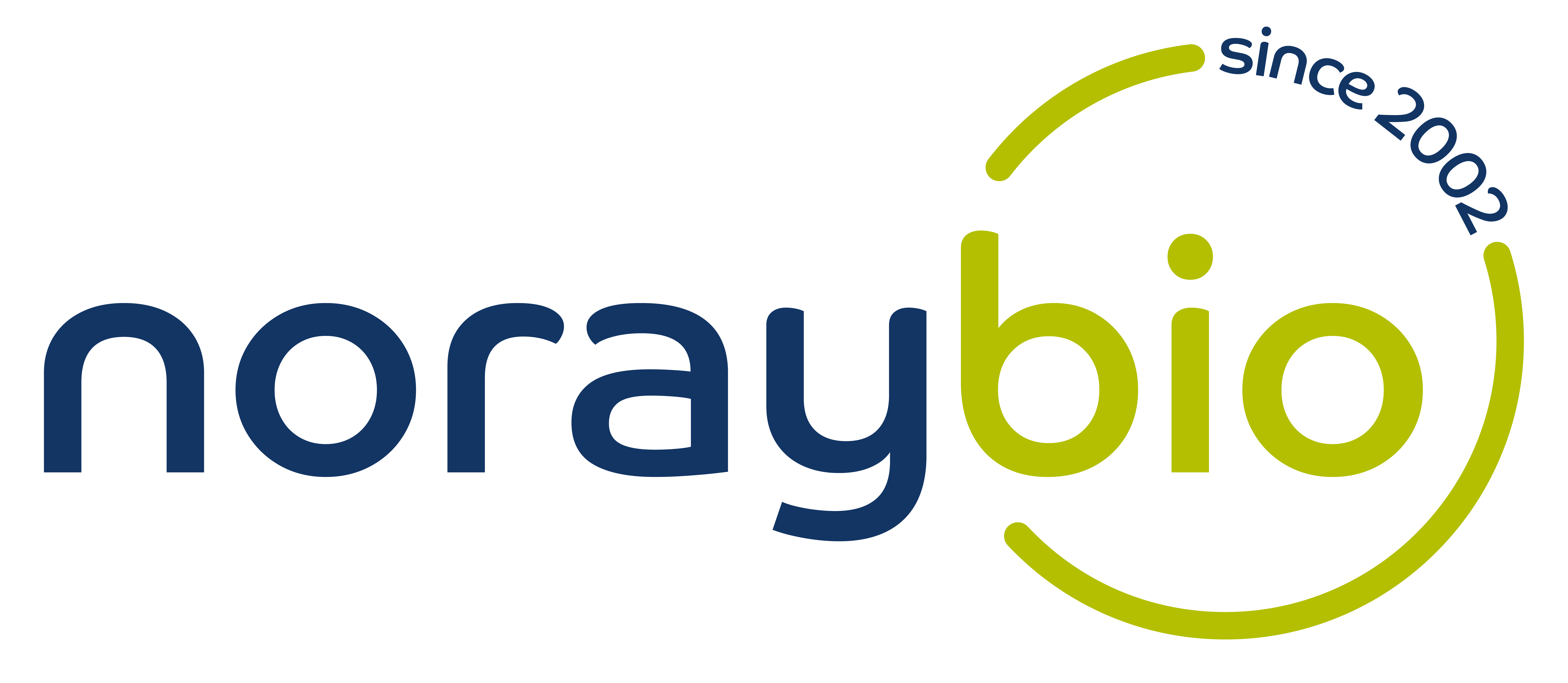 NorayBio Software Logo