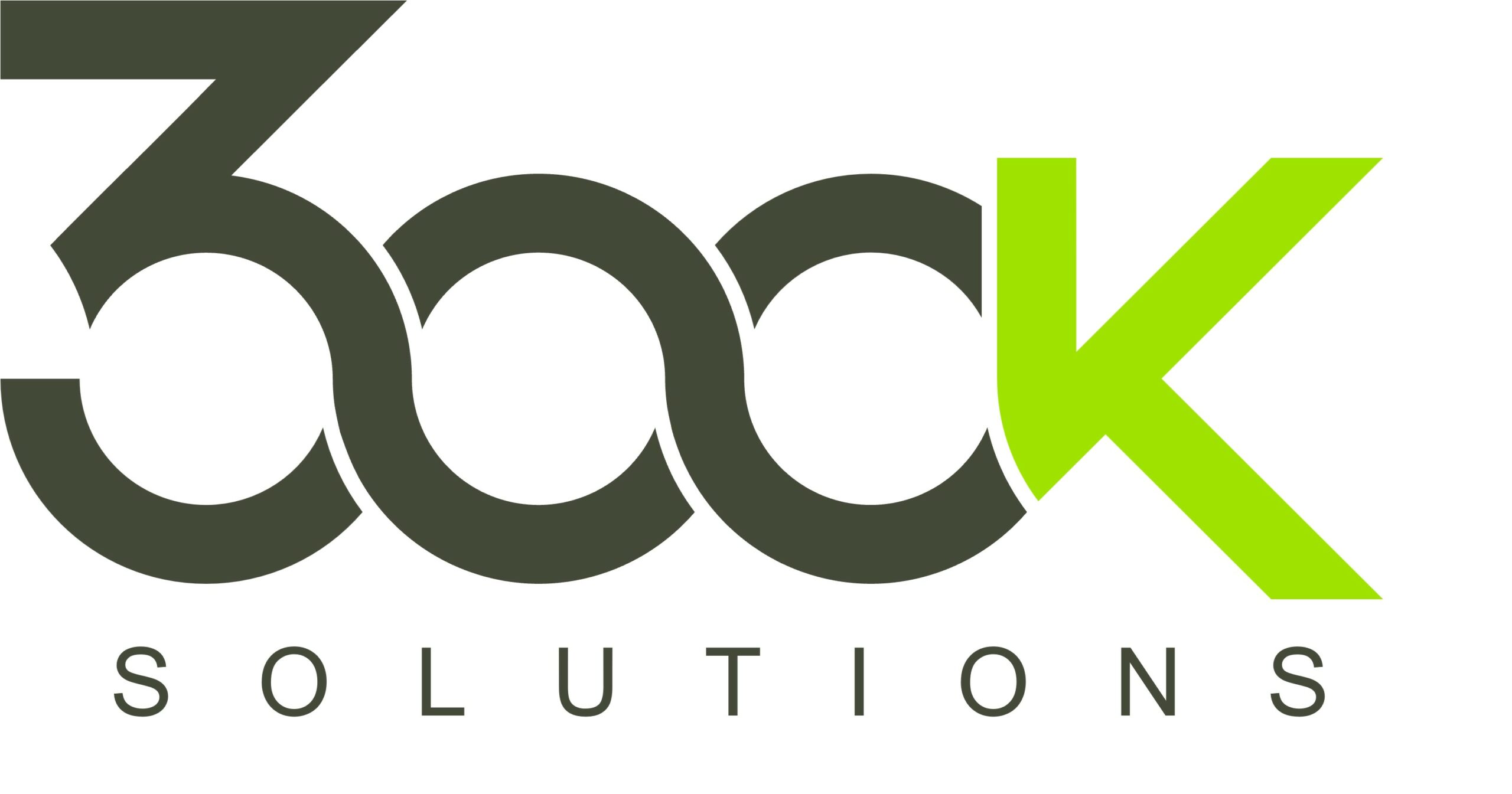 Logo 300k Solutions